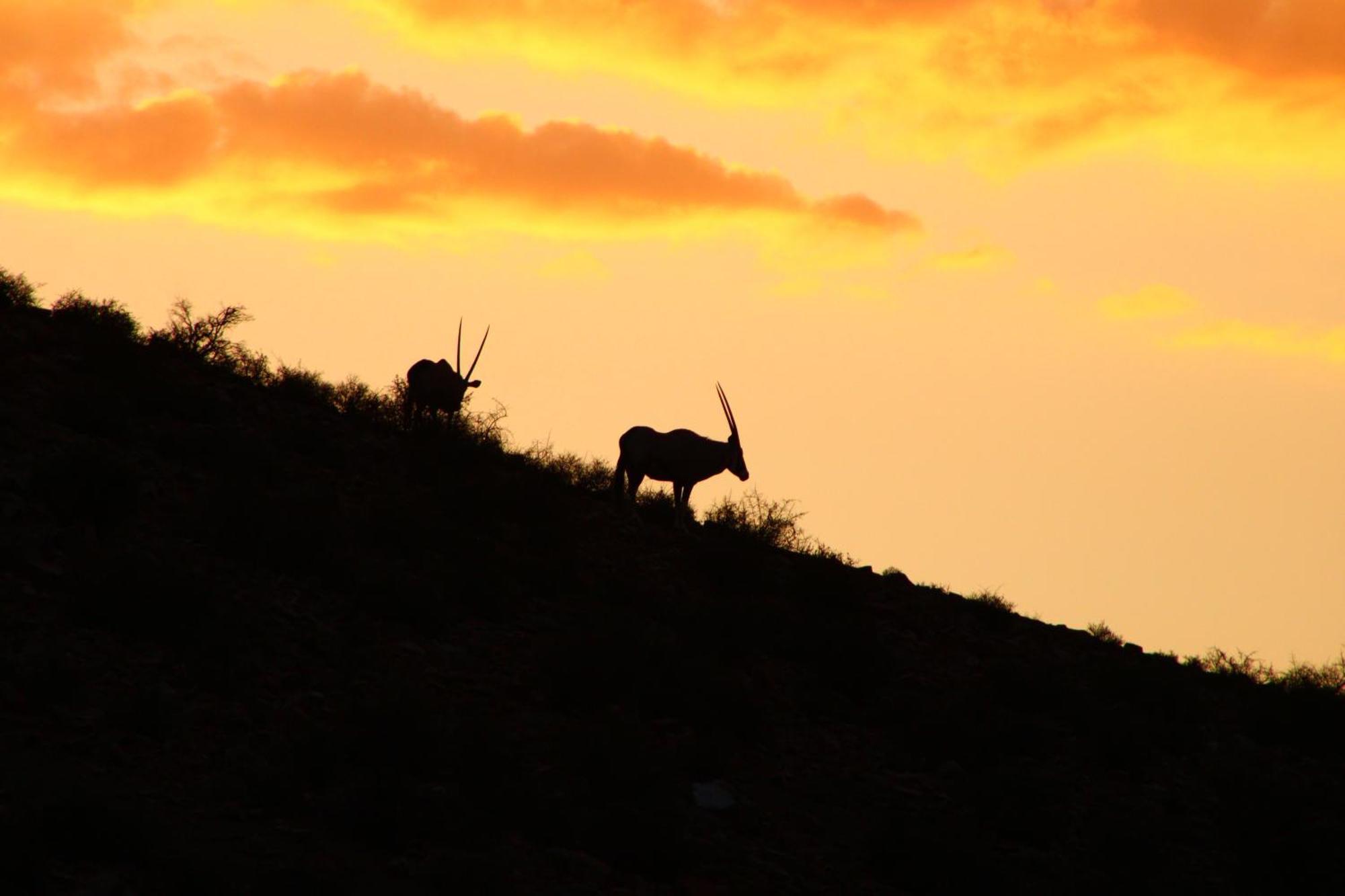 Bosch Luys Kloof Nature Reserve Ladismith Esterno foto
