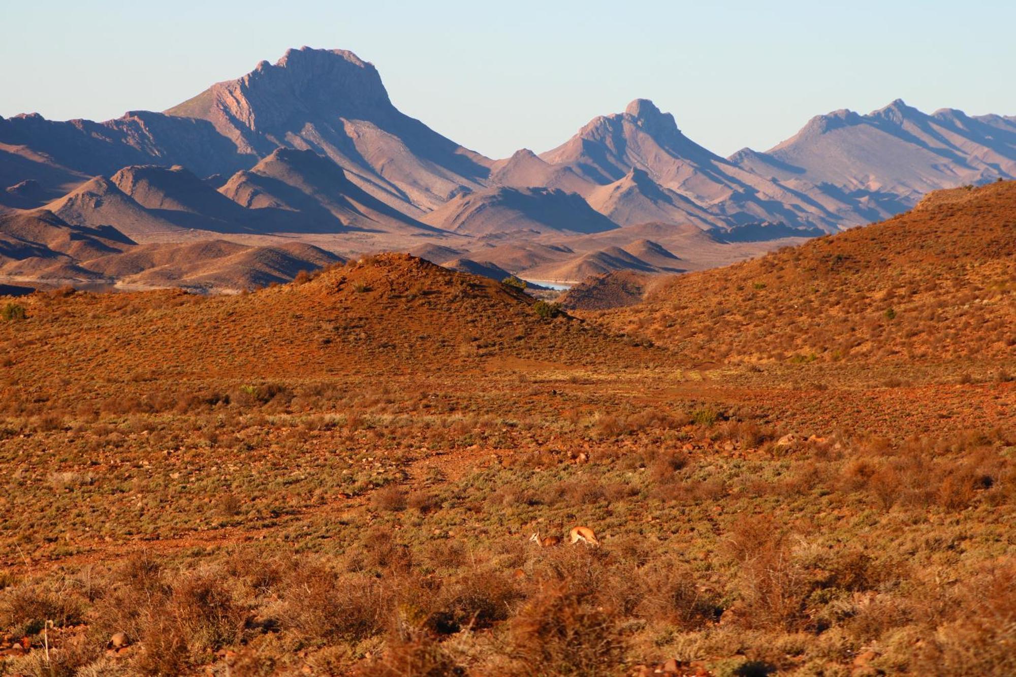 Bosch Luys Kloof Nature Reserve Ladismith Esterno foto