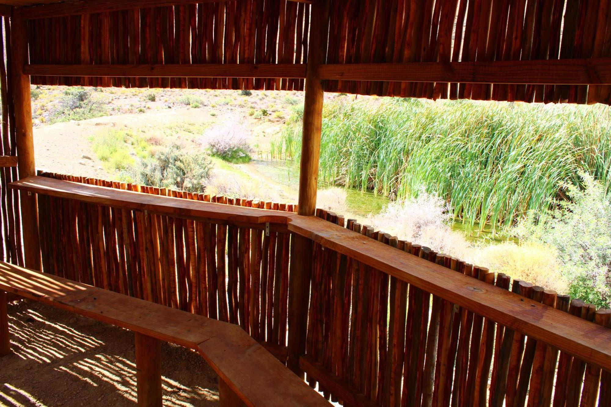 Bosch Luys Kloof Nature Reserve Ladismith Esterno foto