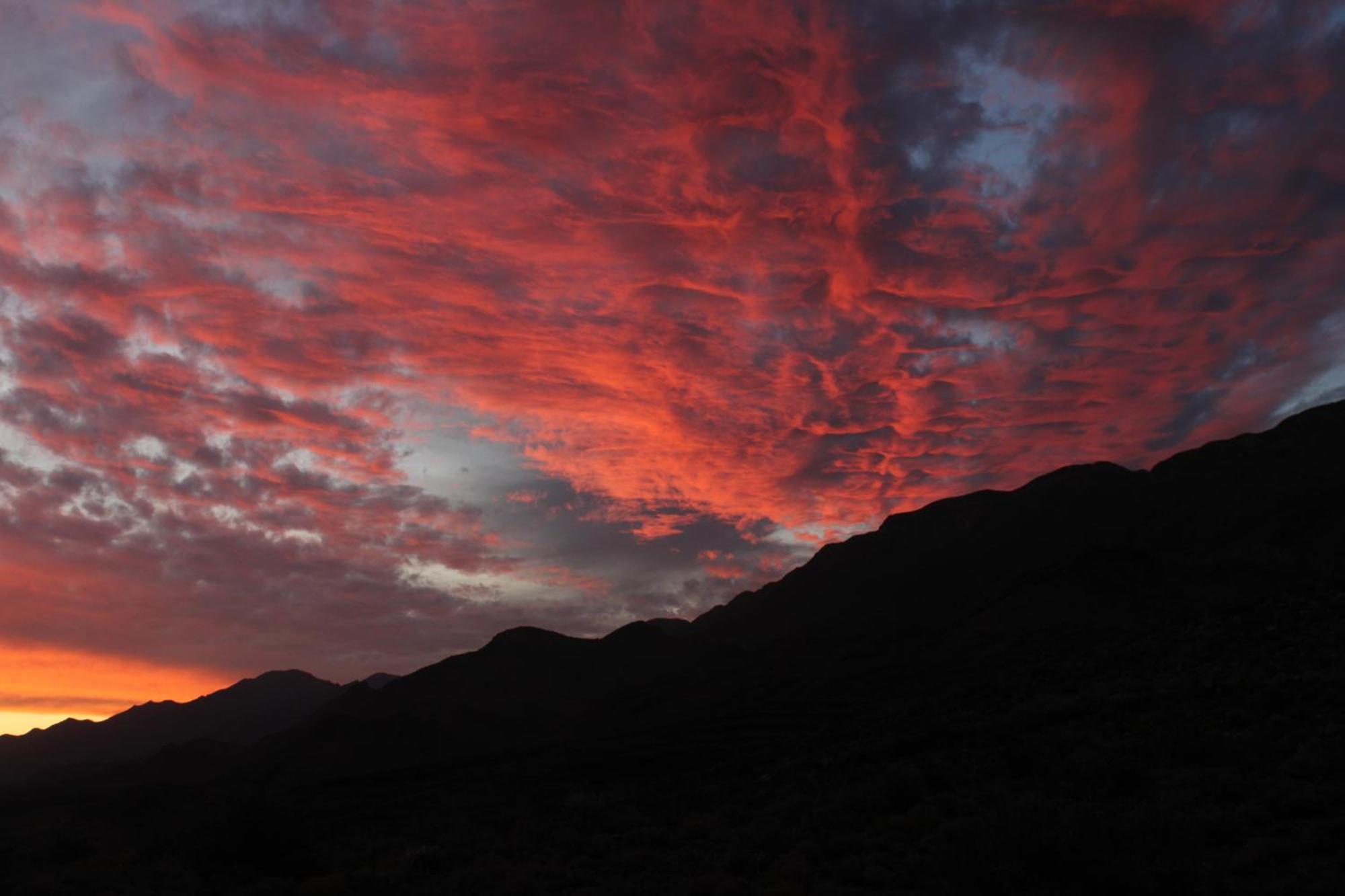 Bosch Luys Kloof Nature Reserve Ladismith Esterno foto